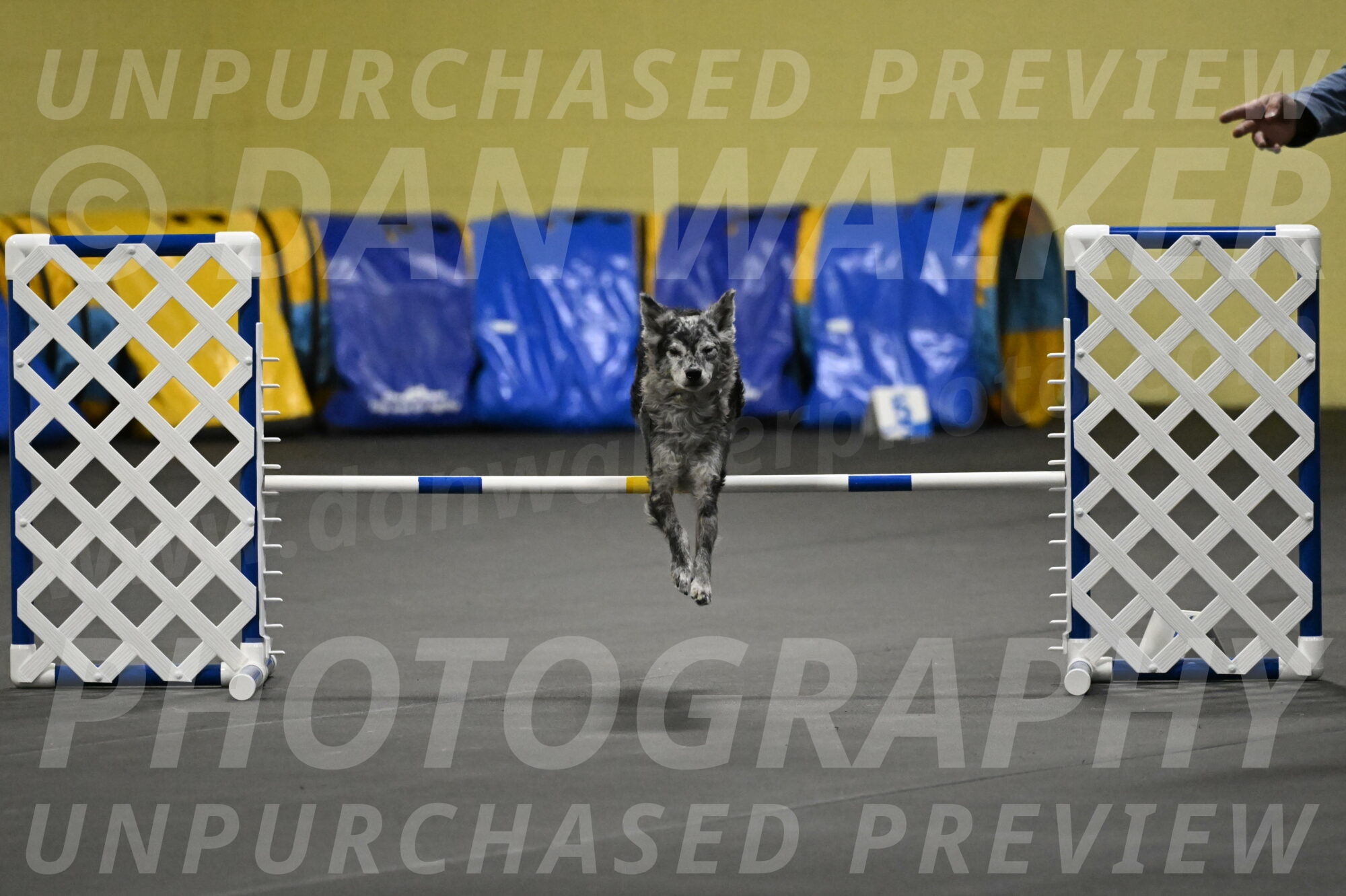 Bruce-Belebczuk-02305