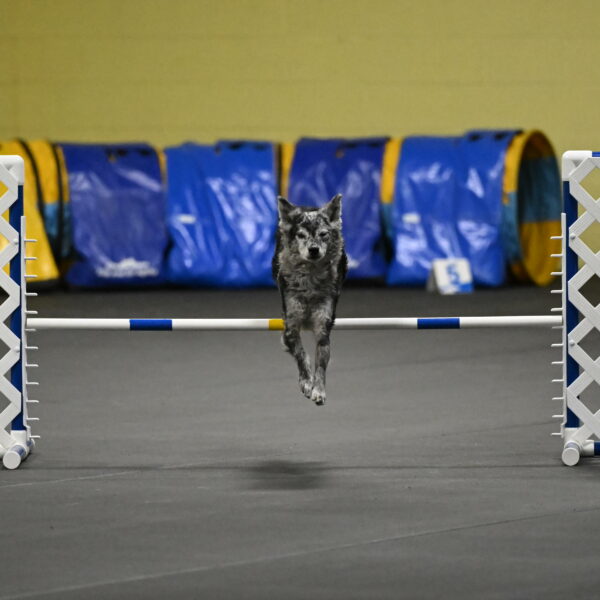 Bruce-Belebczuk-02305