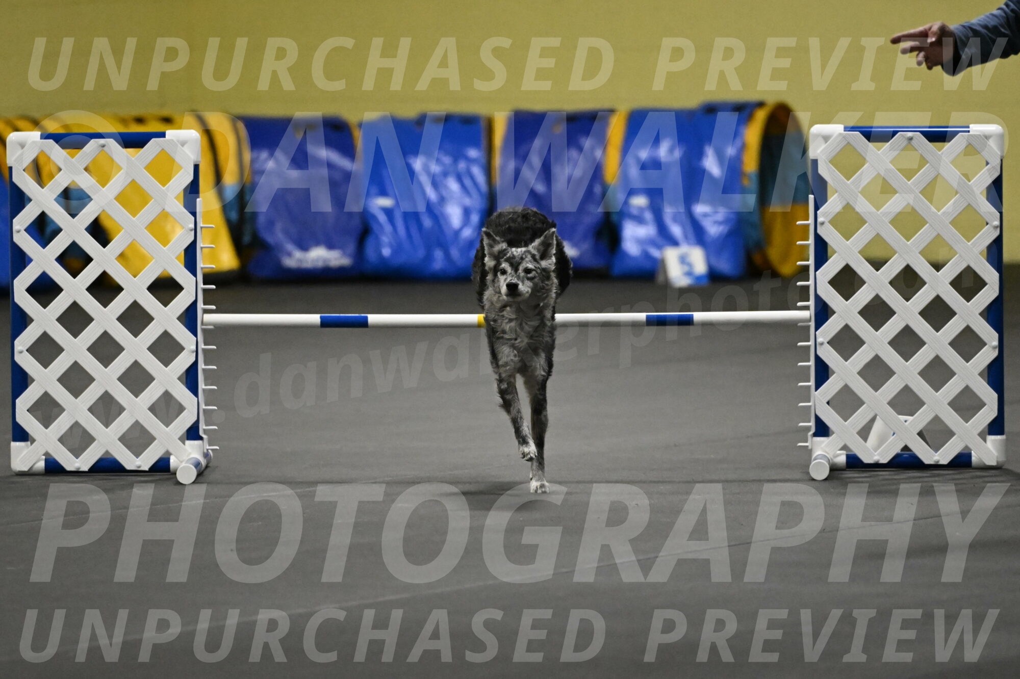 Bruce-Belebczuk-02306