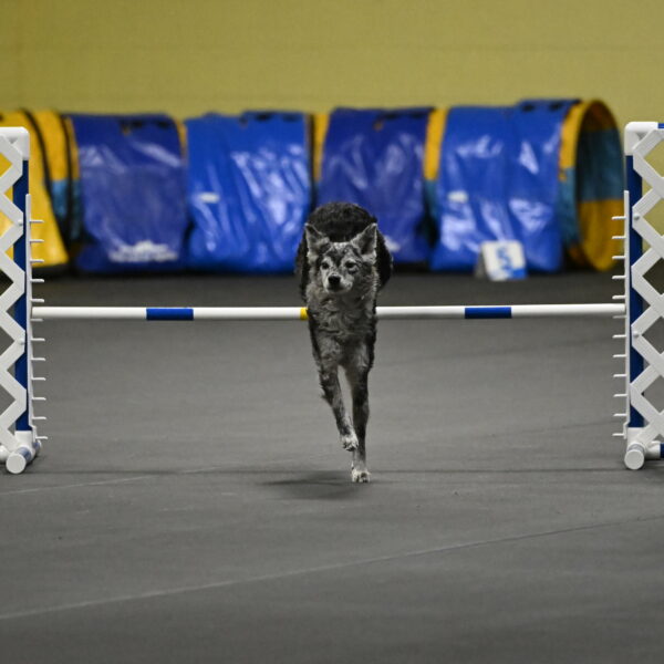 Bruce-Belebczuk-02306