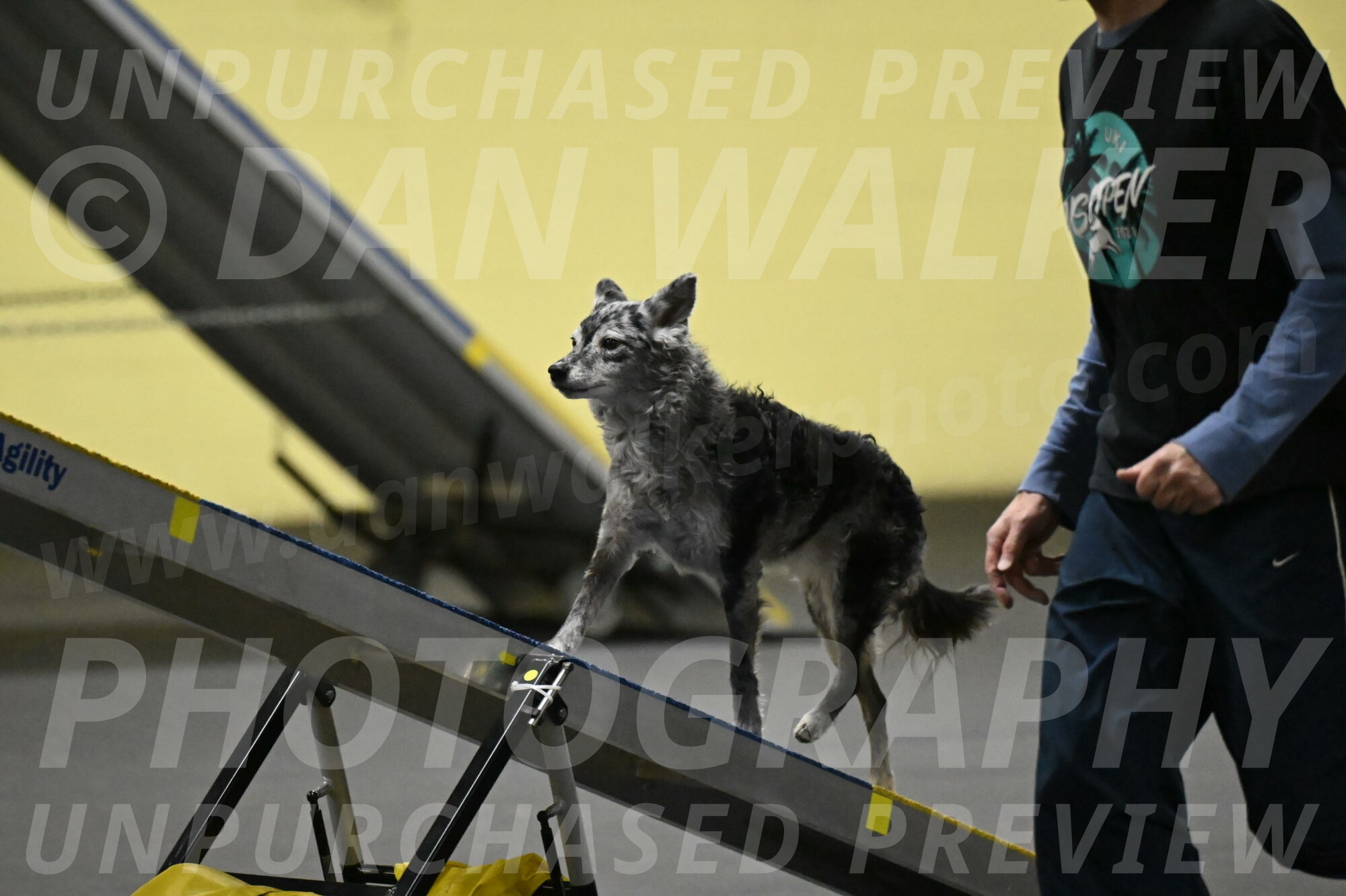 Bruce-Belebczuk-02307