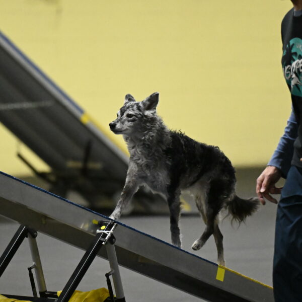 Bruce-Belebczuk-02307