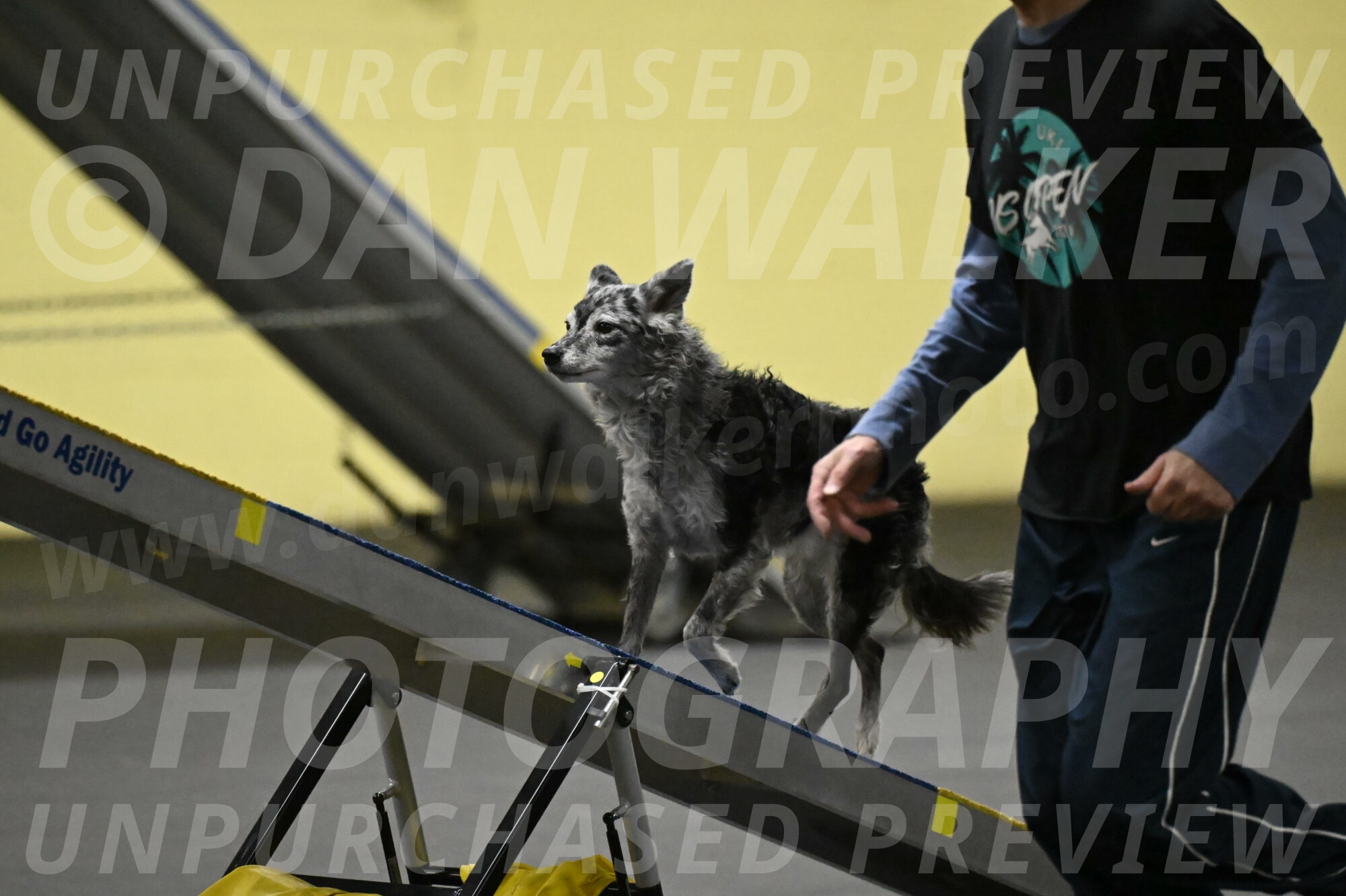 Bruce-Belebczuk-02308