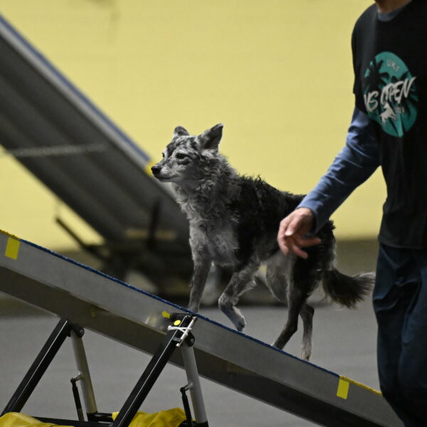 Bruce-Belebczuk-02308