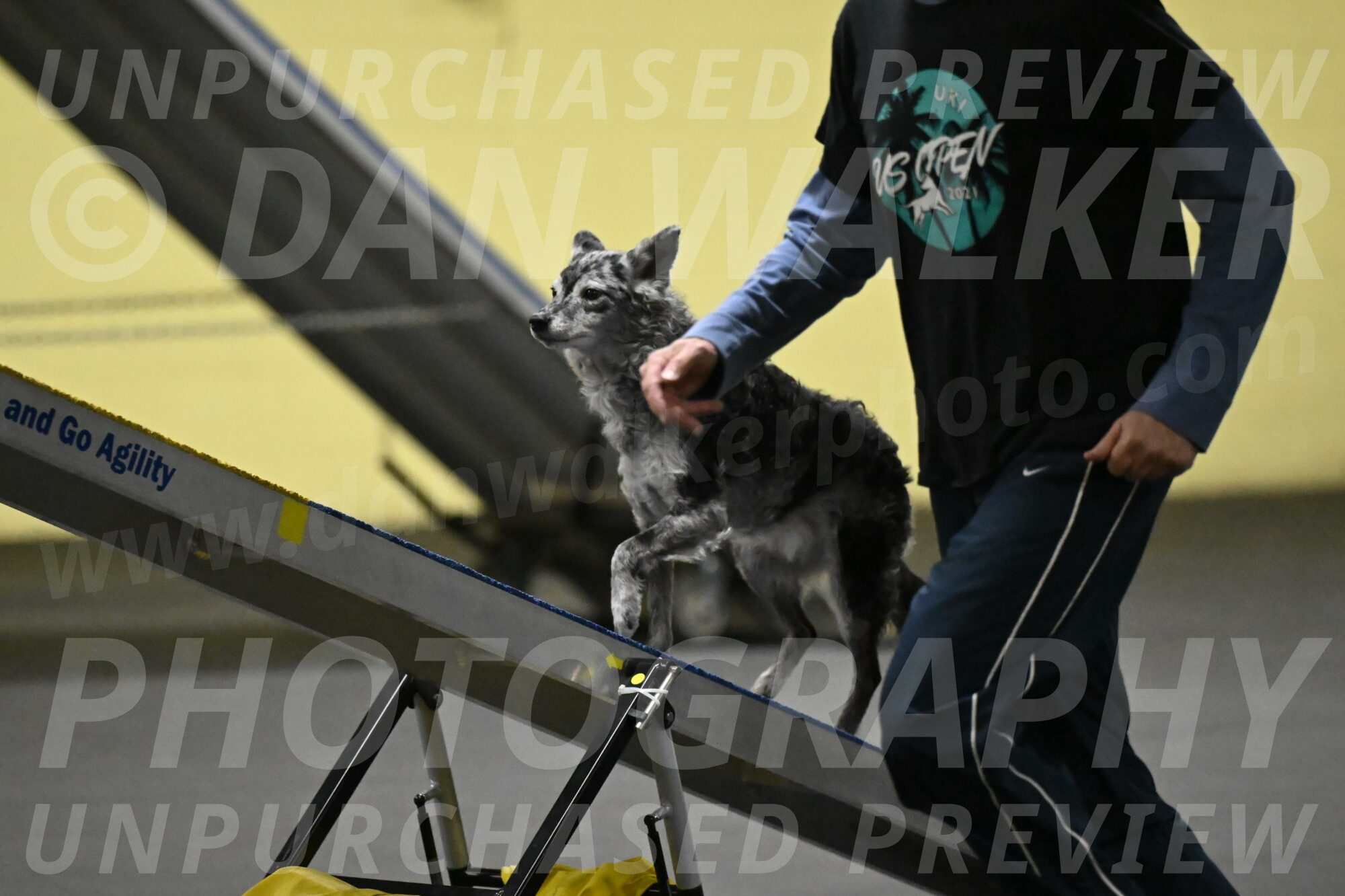 Bruce-Belebczuk-02309