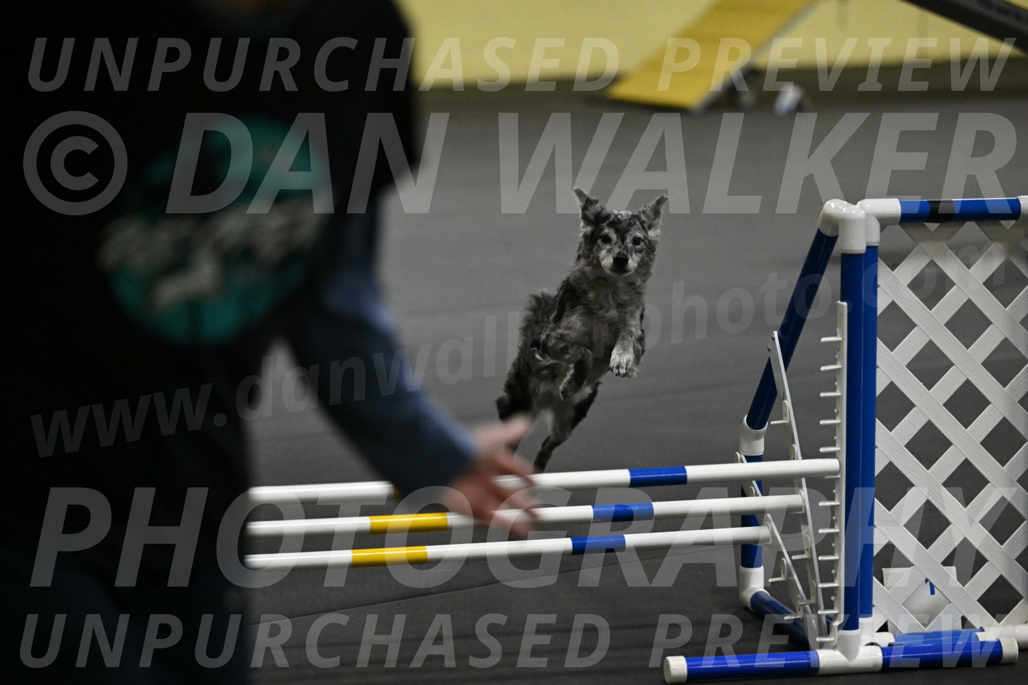 Bruce-Belebczuk-02312