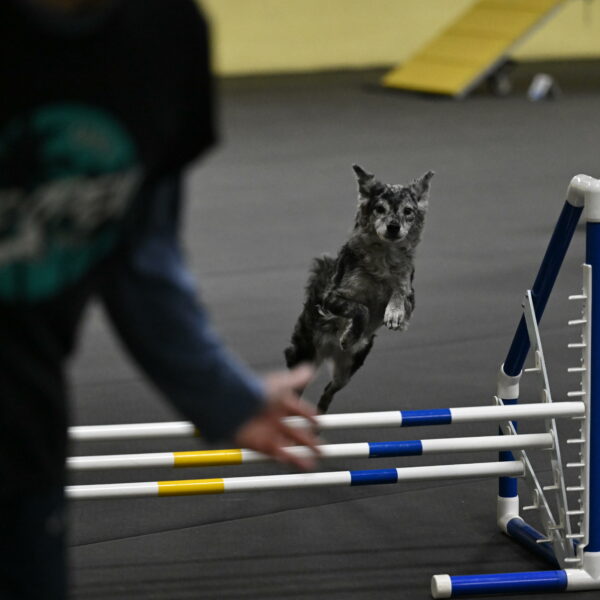 Bruce-Belebczuk-02312