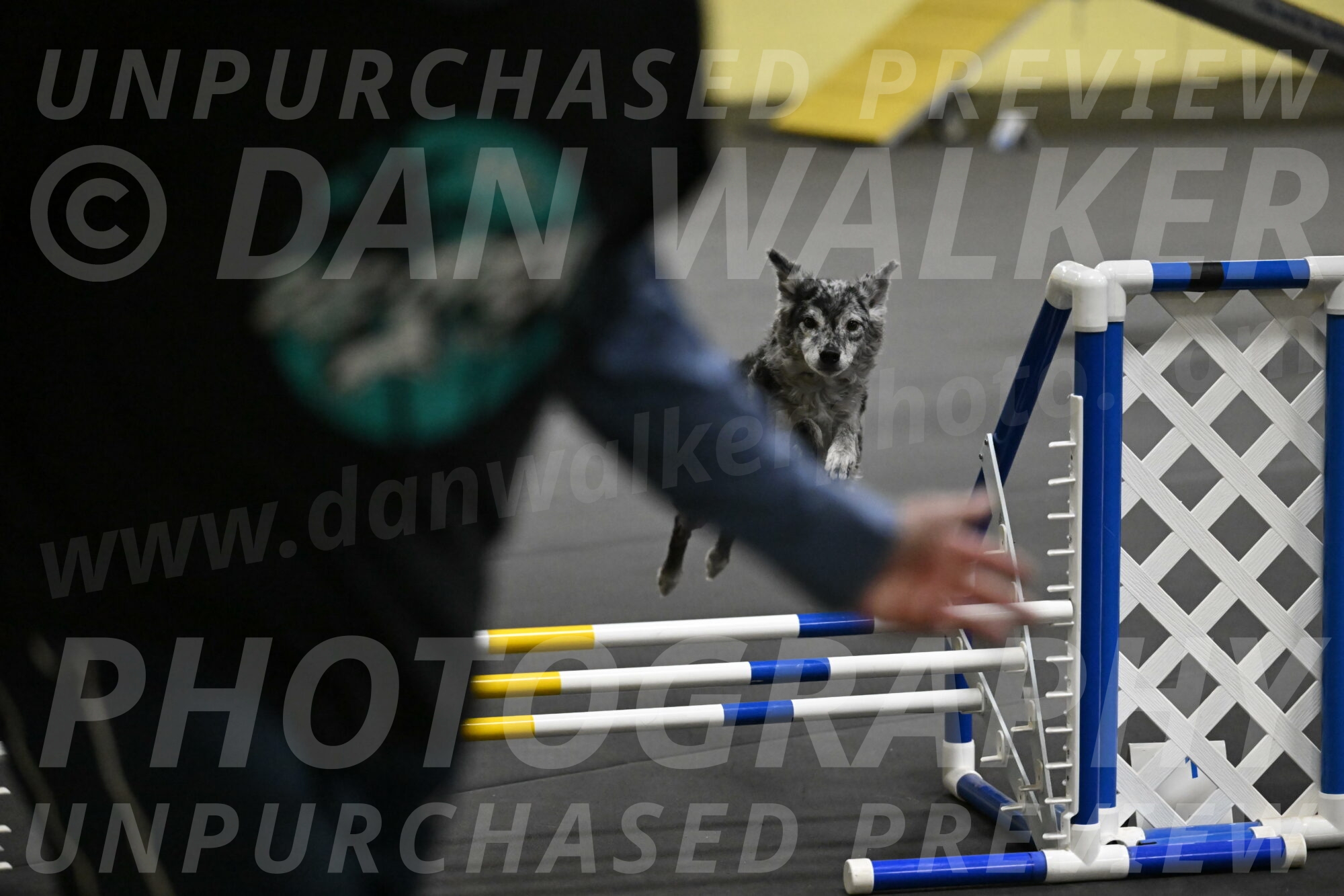 Bruce-Belebczuk-02313