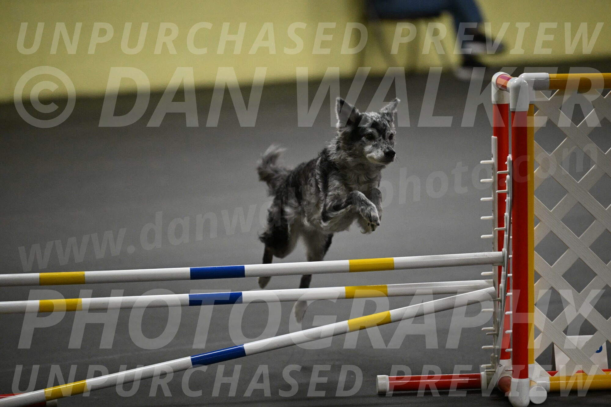 Bruce-Belebczuk-02325