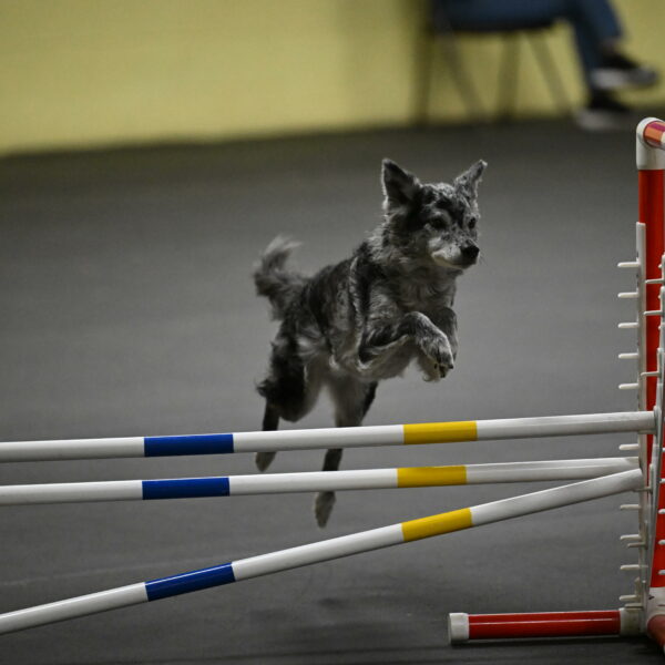 Bruce-Belebczuk-02325