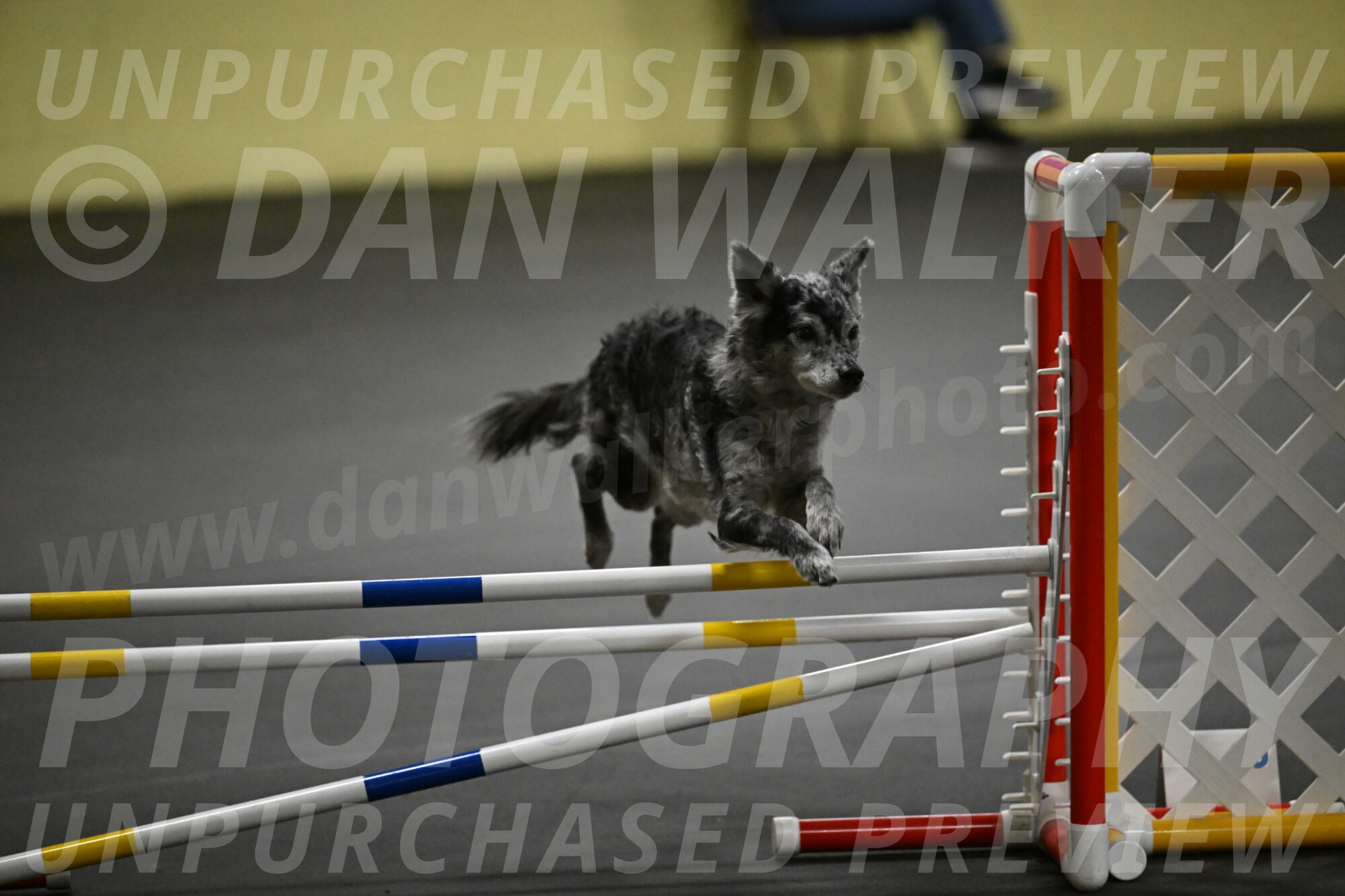 Bruce-Belebczuk-02326