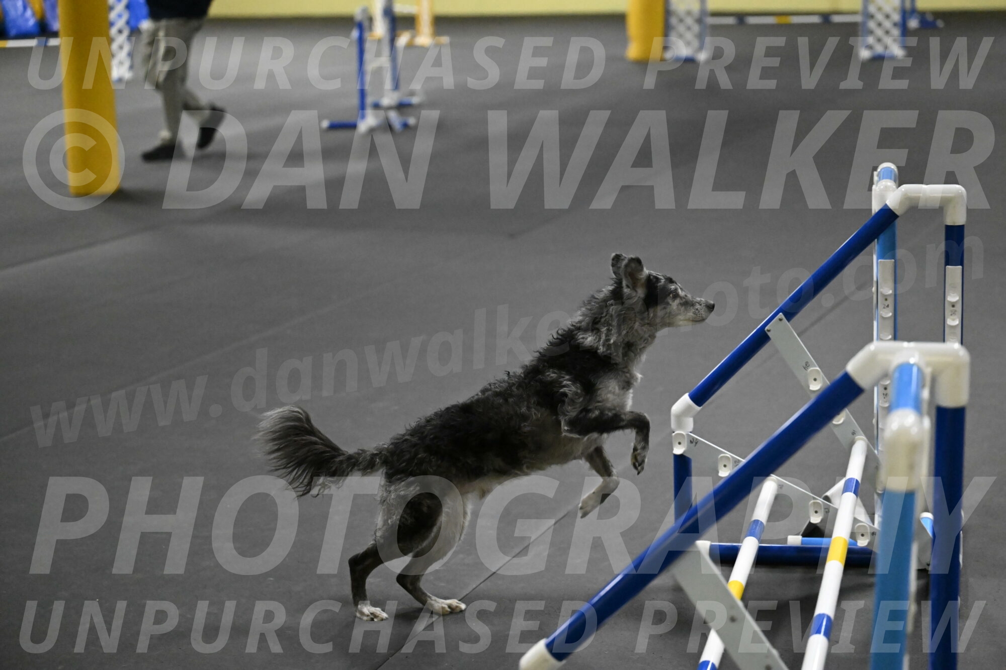 Bruce-Belebczuk-02334