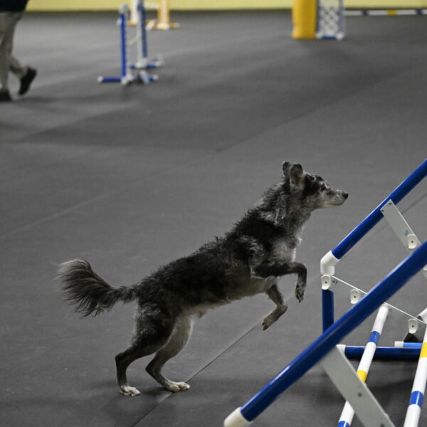 Bruce-Belebczuk-02334