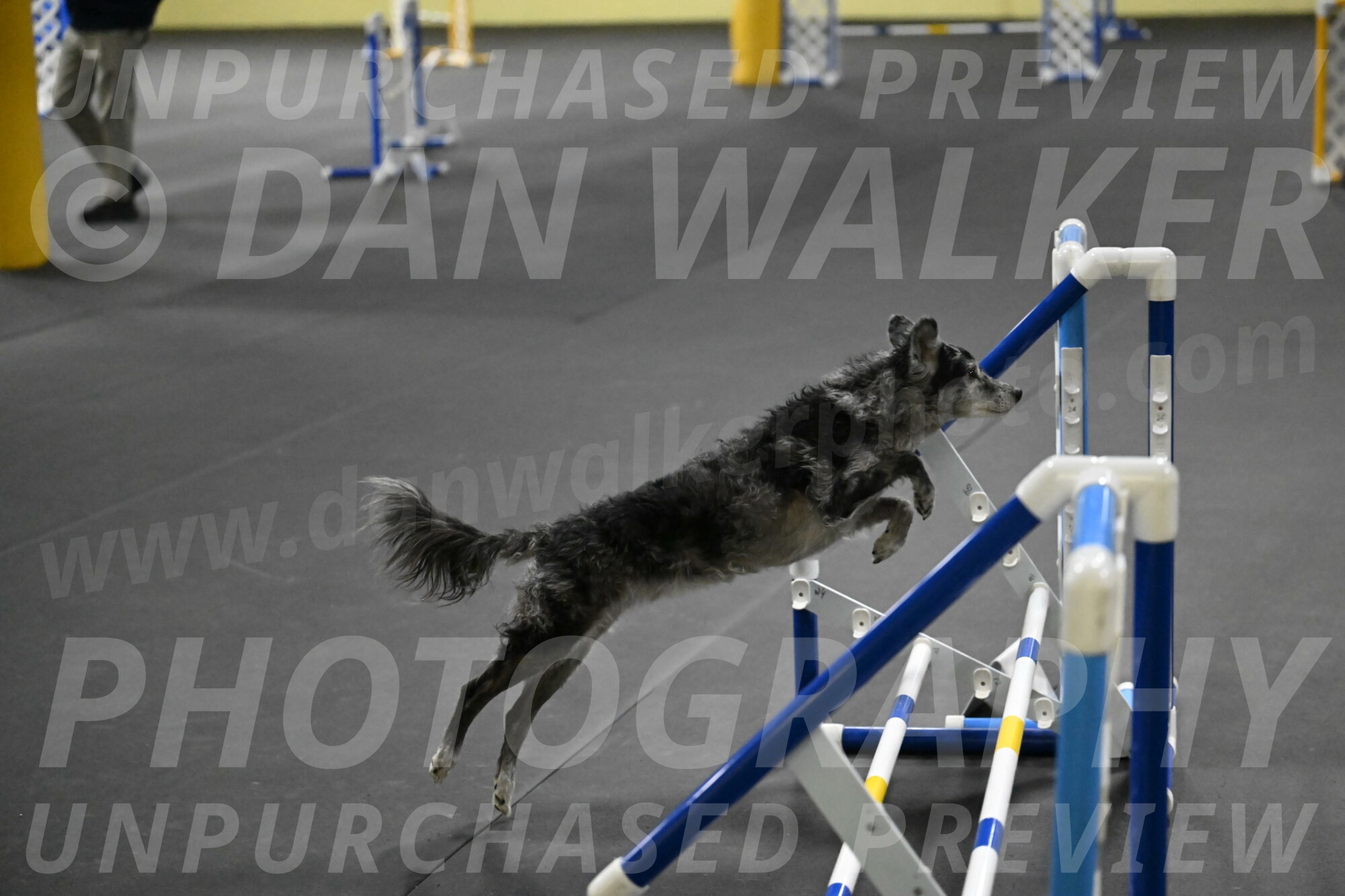 Bruce-Belebczuk-02335