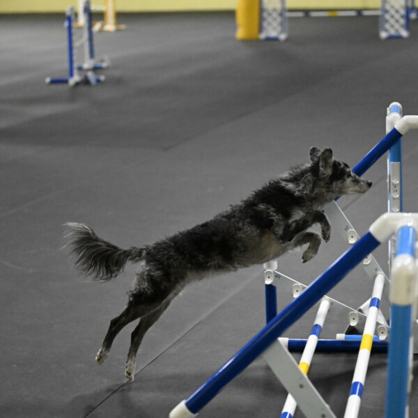 Bruce-Belebczuk-02335