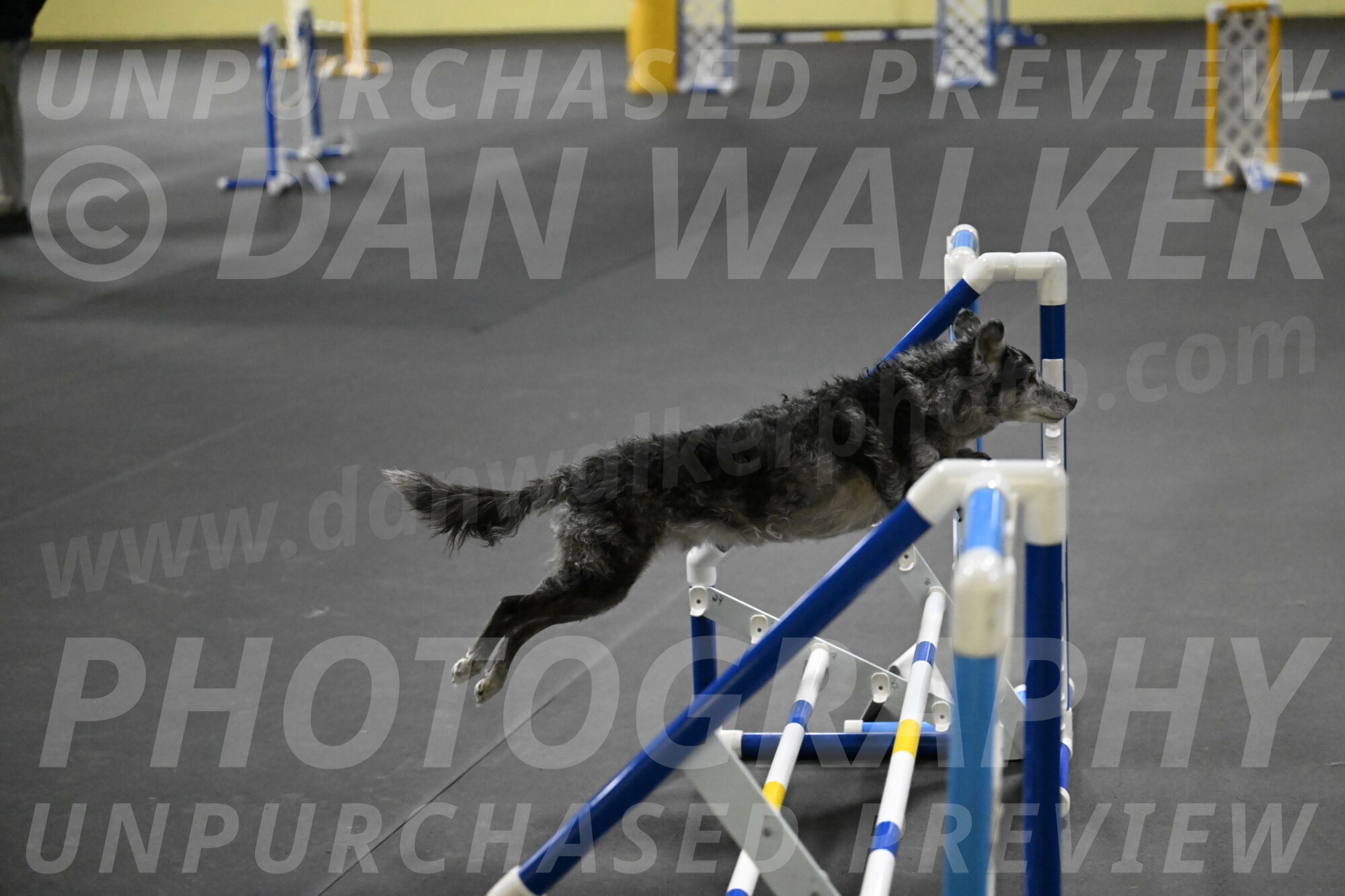 Bruce-Belebczuk-02336