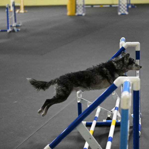 Bruce-Belebczuk-02336