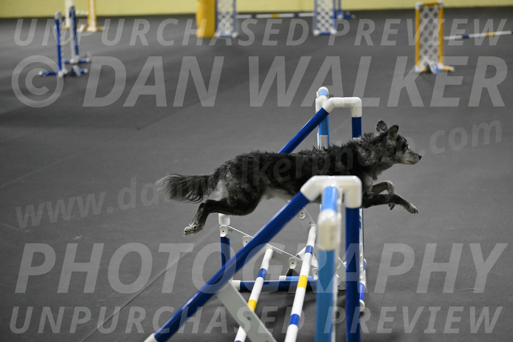 Bruce-Belebczuk-02337