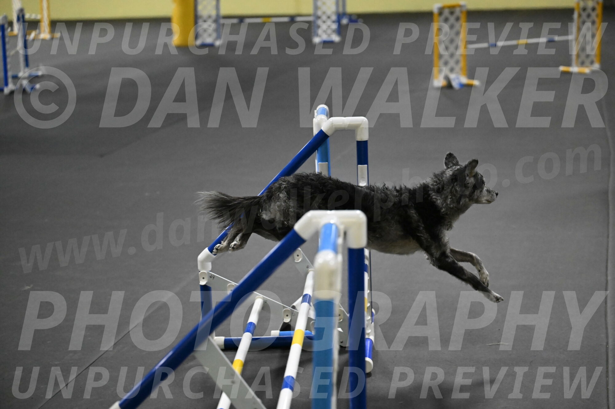 Bruce-Belebczuk-02338