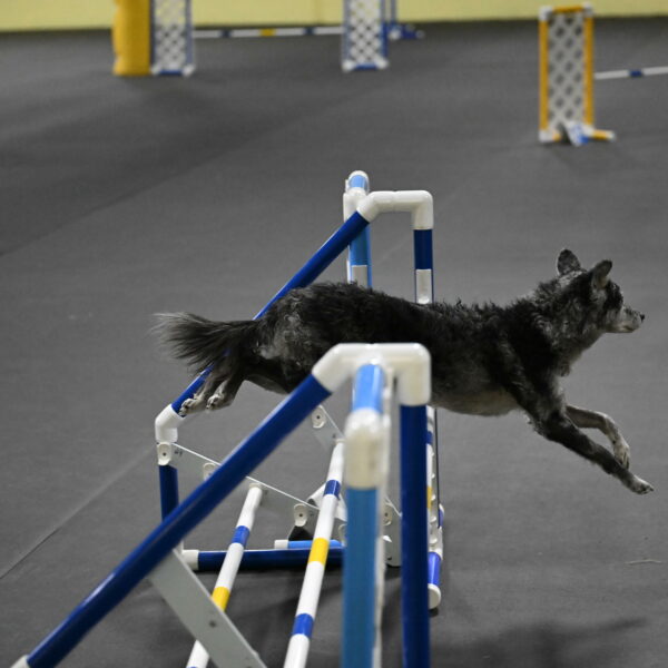 Bruce-Belebczuk-02338