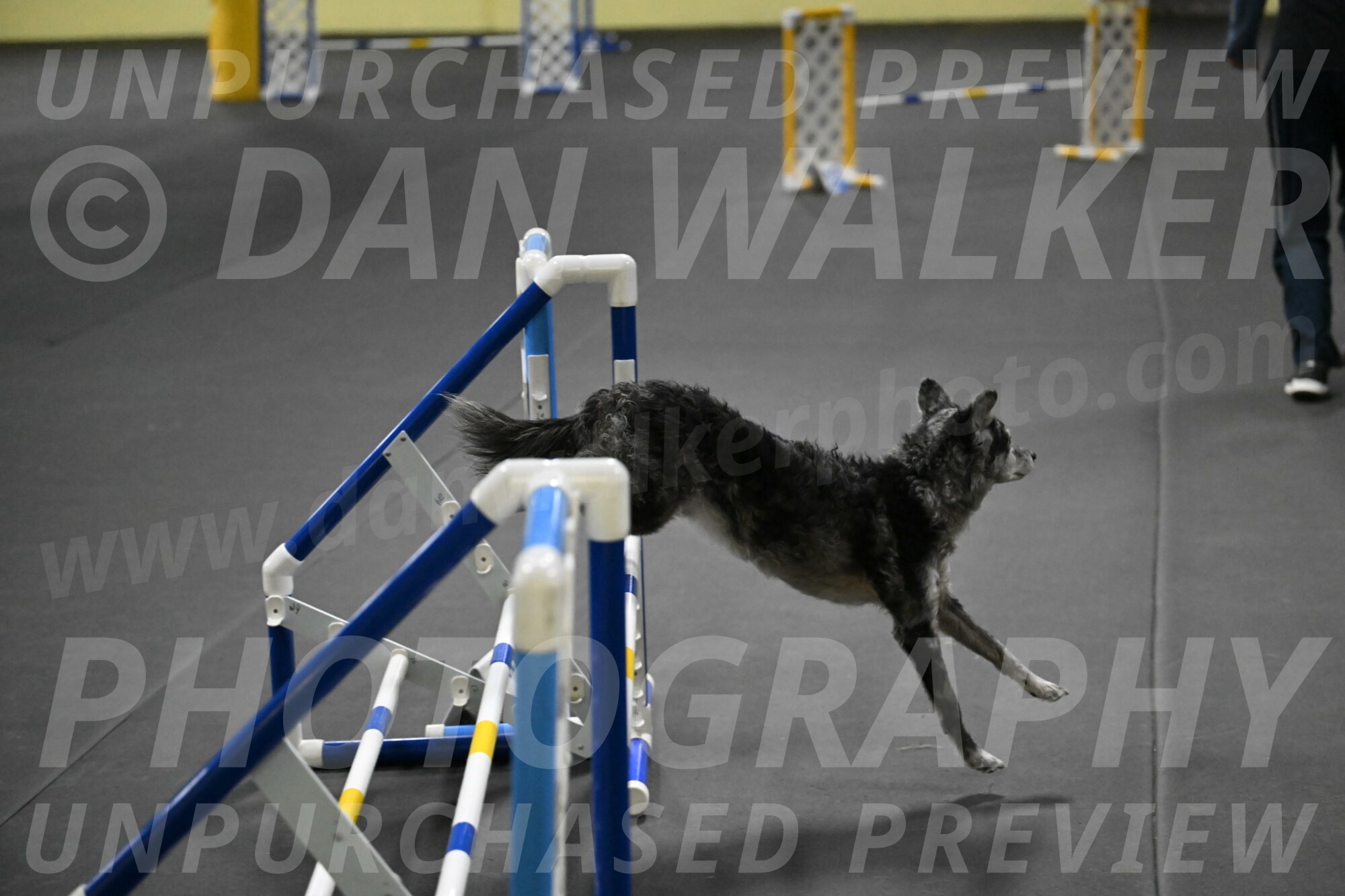 Bruce-Belebczuk-02339