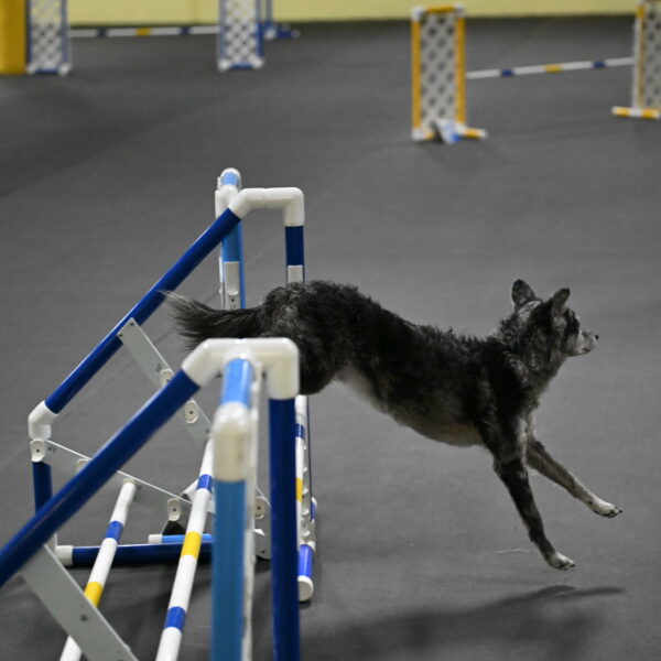 Bruce-Belebczuk-02339