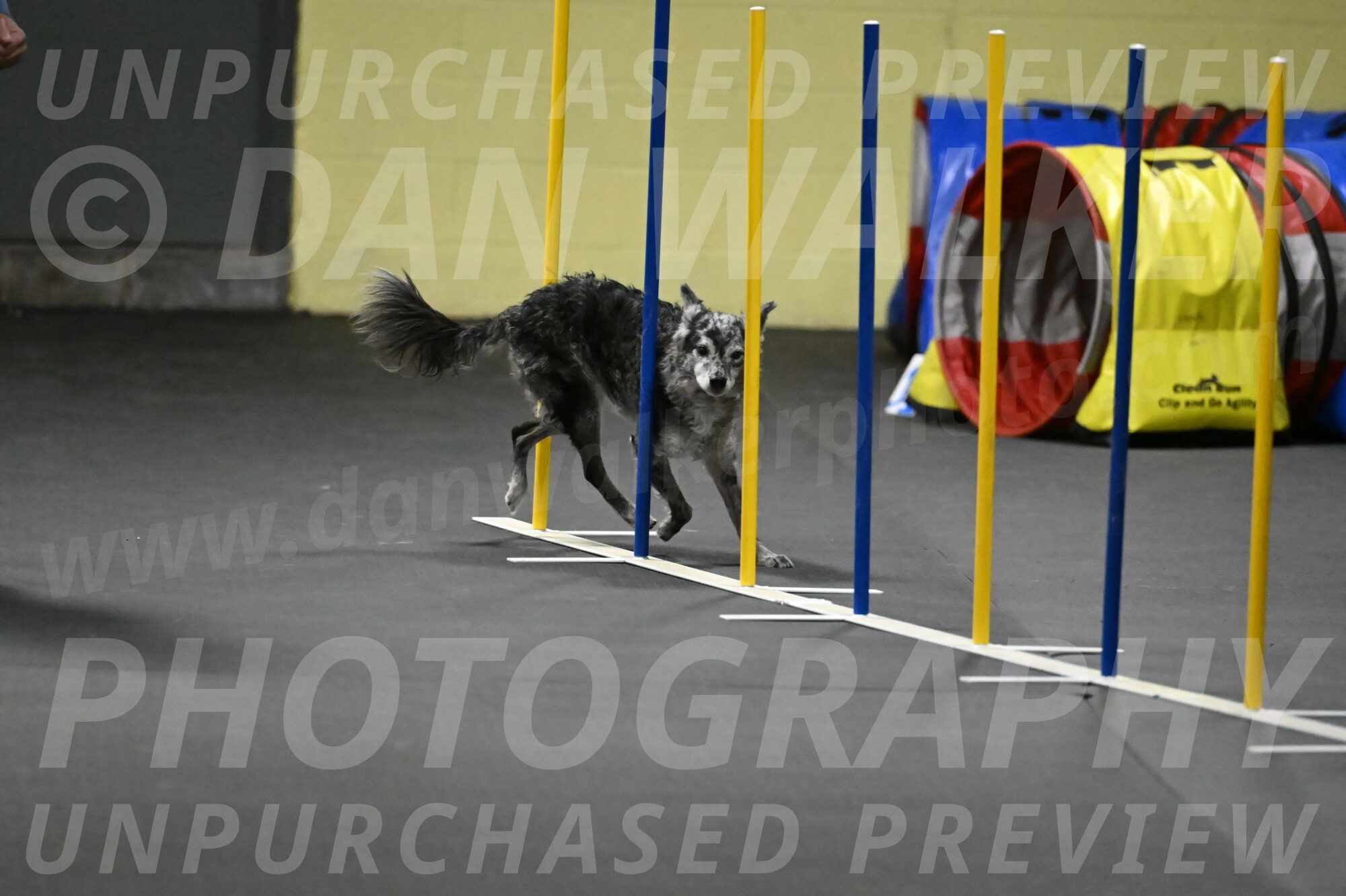 Bruce-Belebczuk-02341