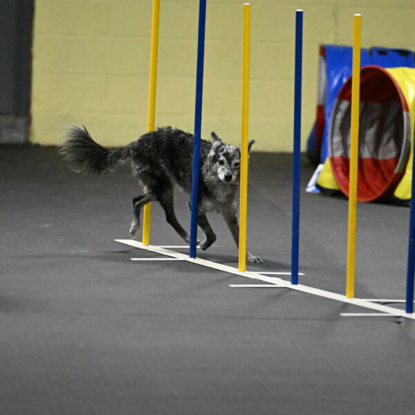 Bruce-Belebczuk-02341