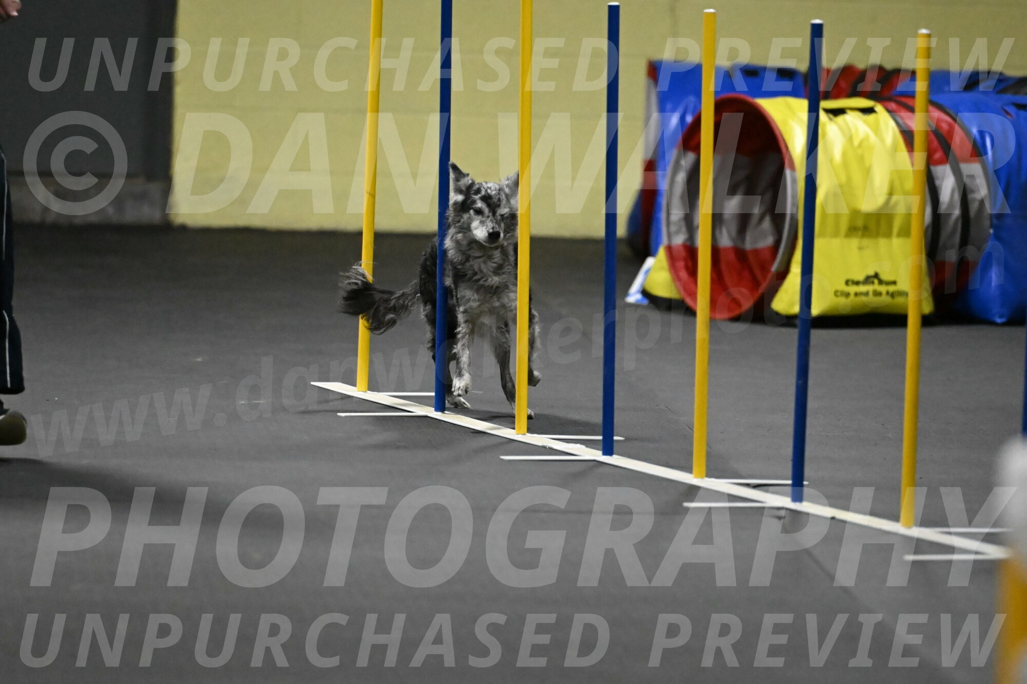 Bruce-Belebczuk-02343