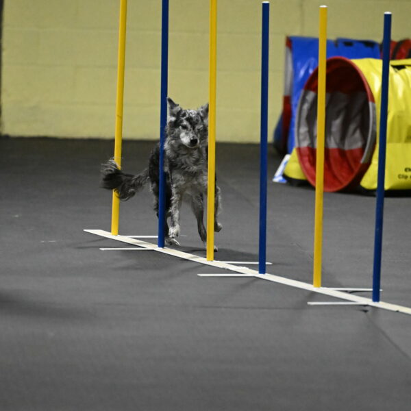 Bruce-Belebczuk-02343