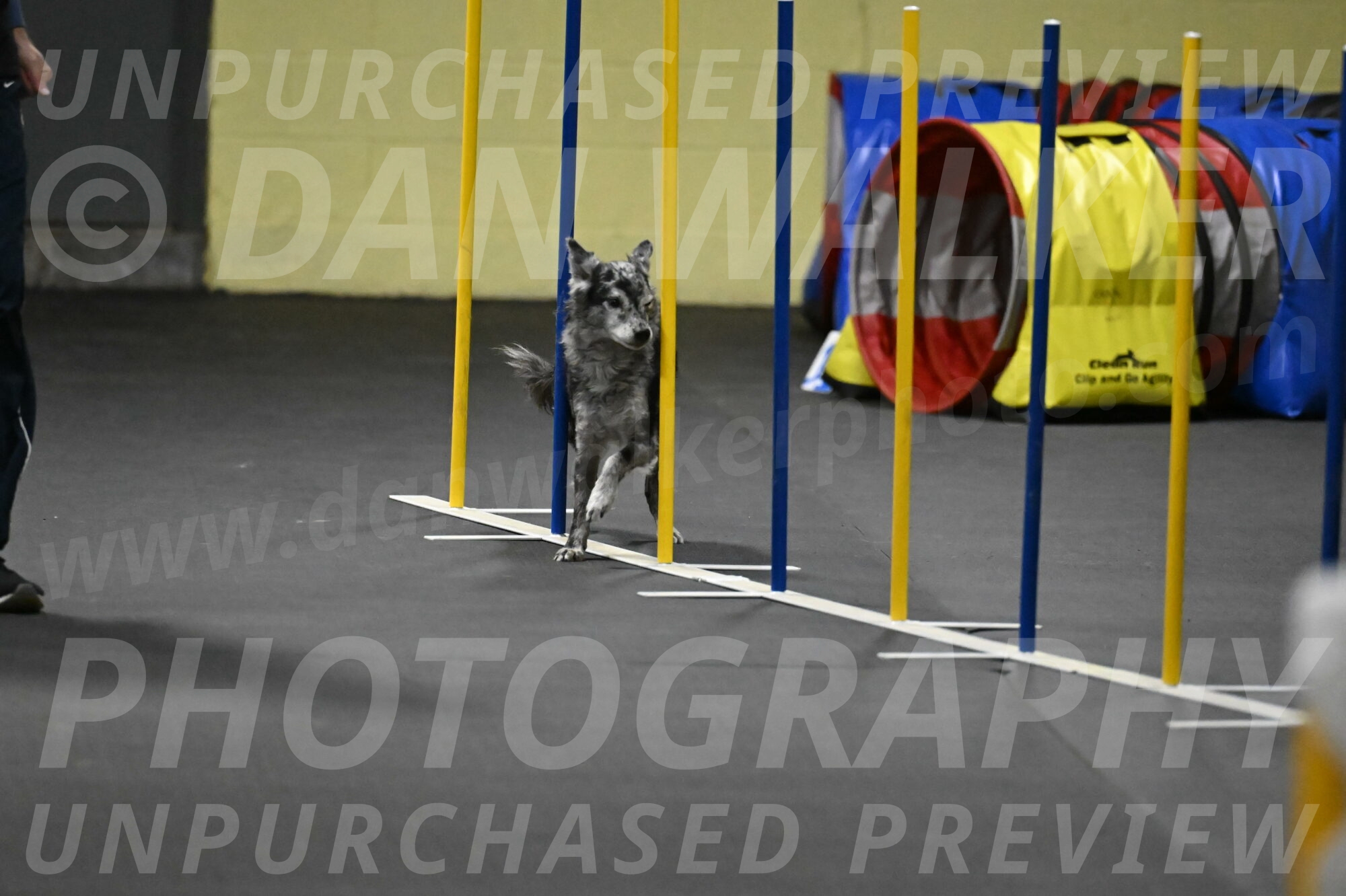 Bruce-Belebczuk-02344