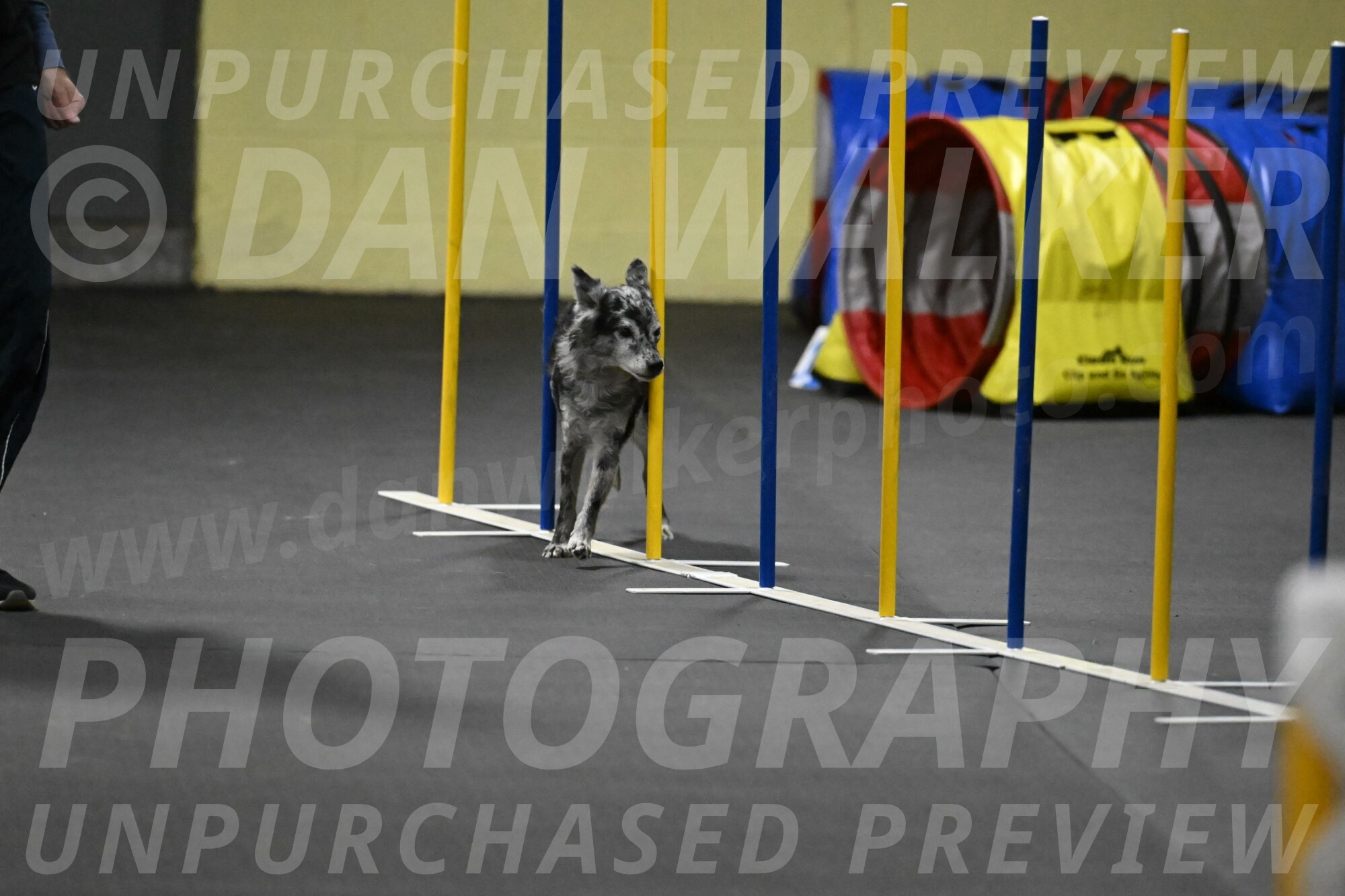 Bruce-Belebczuk-02345