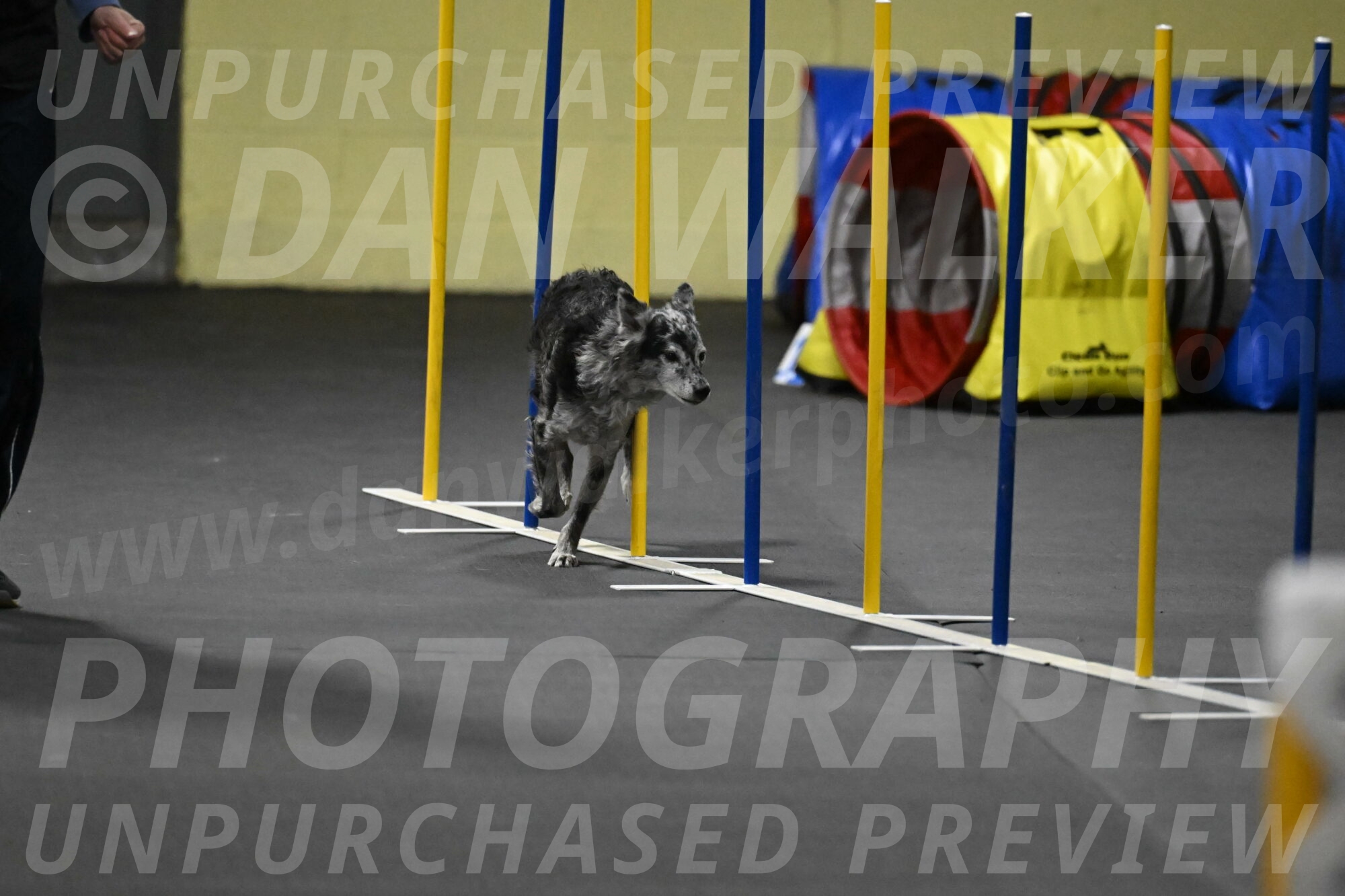 Bruce-Belebczuk-02346