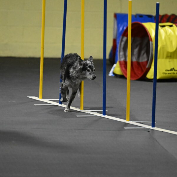 Bruce-Belebczuk-02346