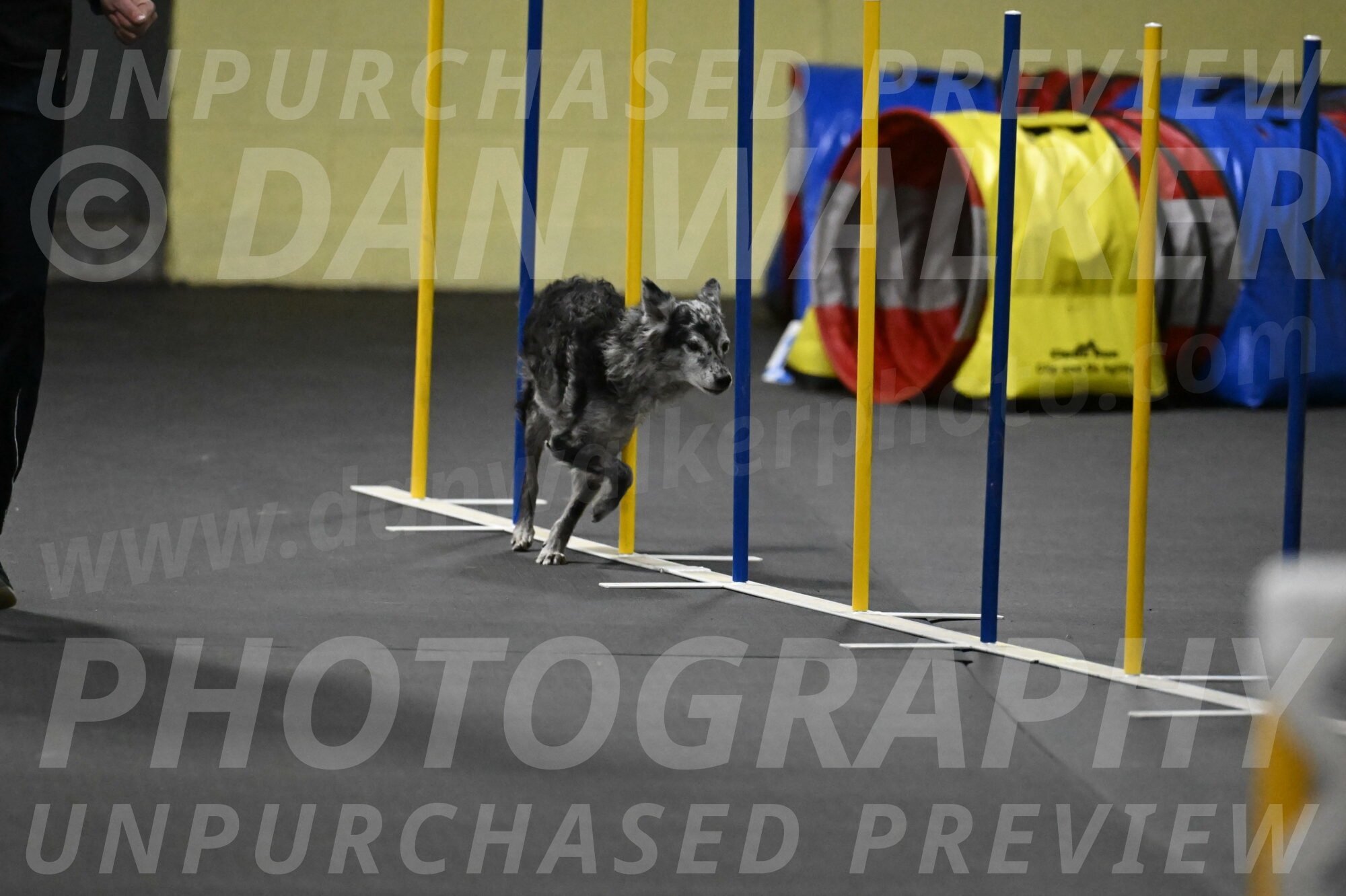 Bruce-Belebczuk-02347