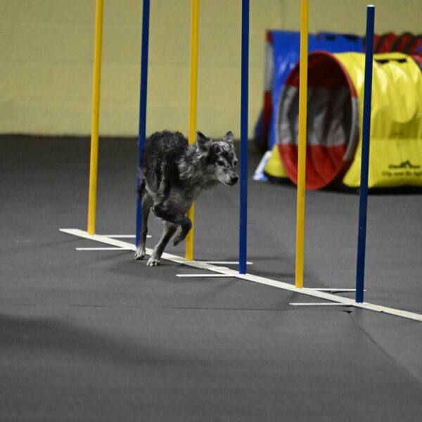 Bruce-Belebczuk-02347