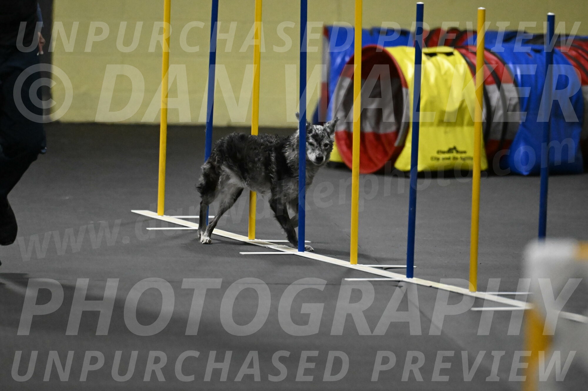 Bruce-Belebczuk-02349