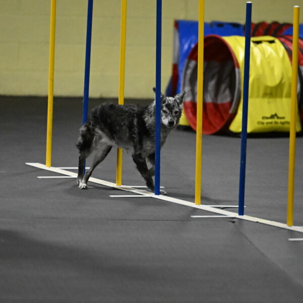 Bruce-Belebczuk-02349