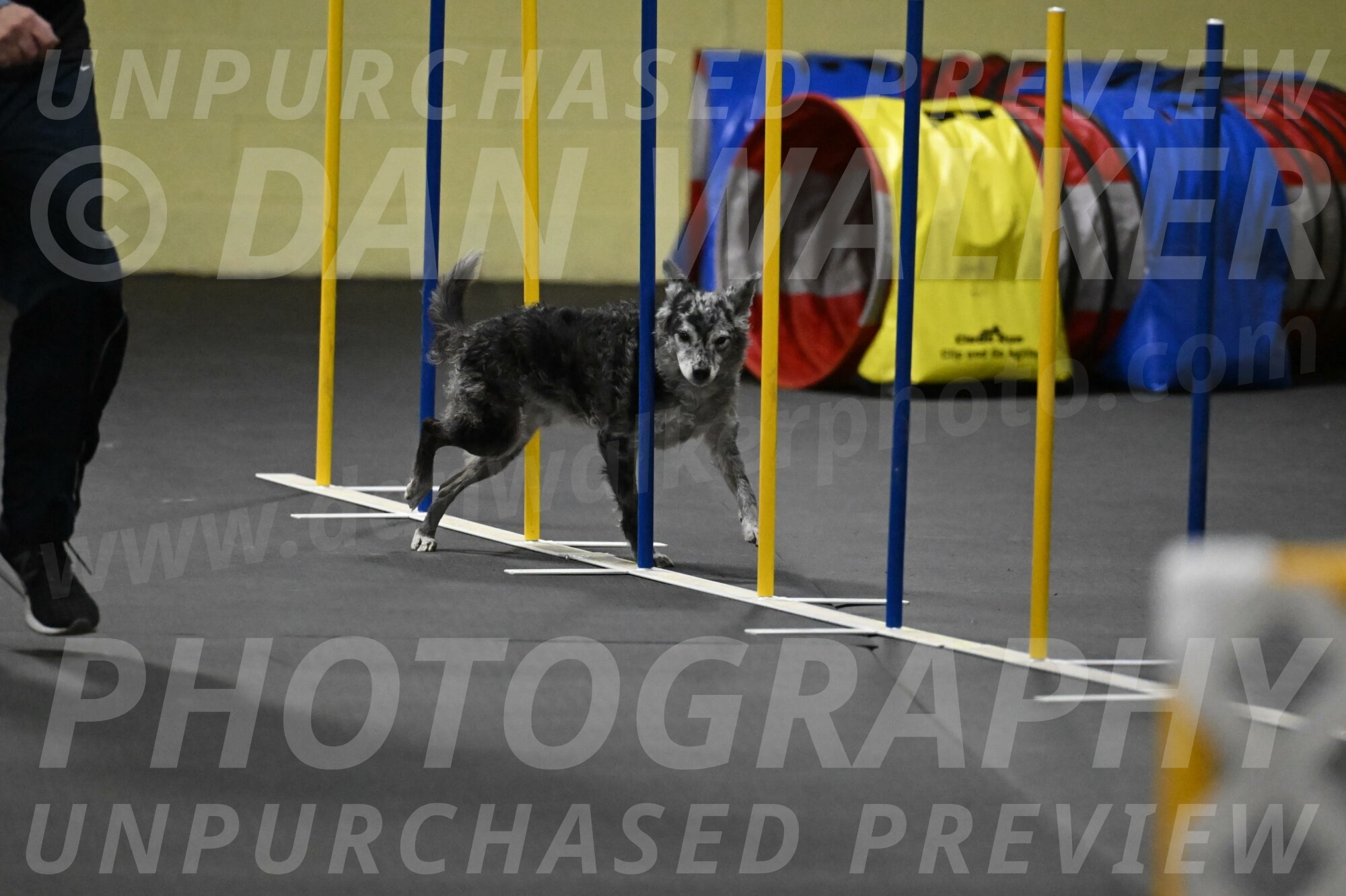 Bruce-Belebczuk-02350