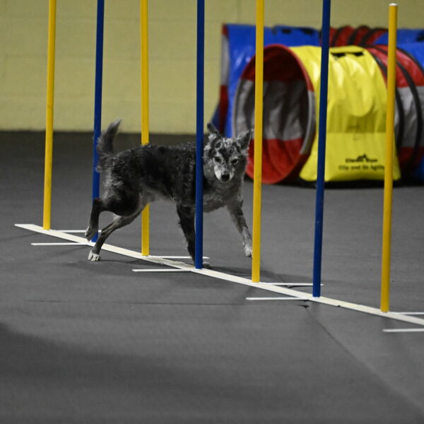 Bruce-Belebczuk-02350