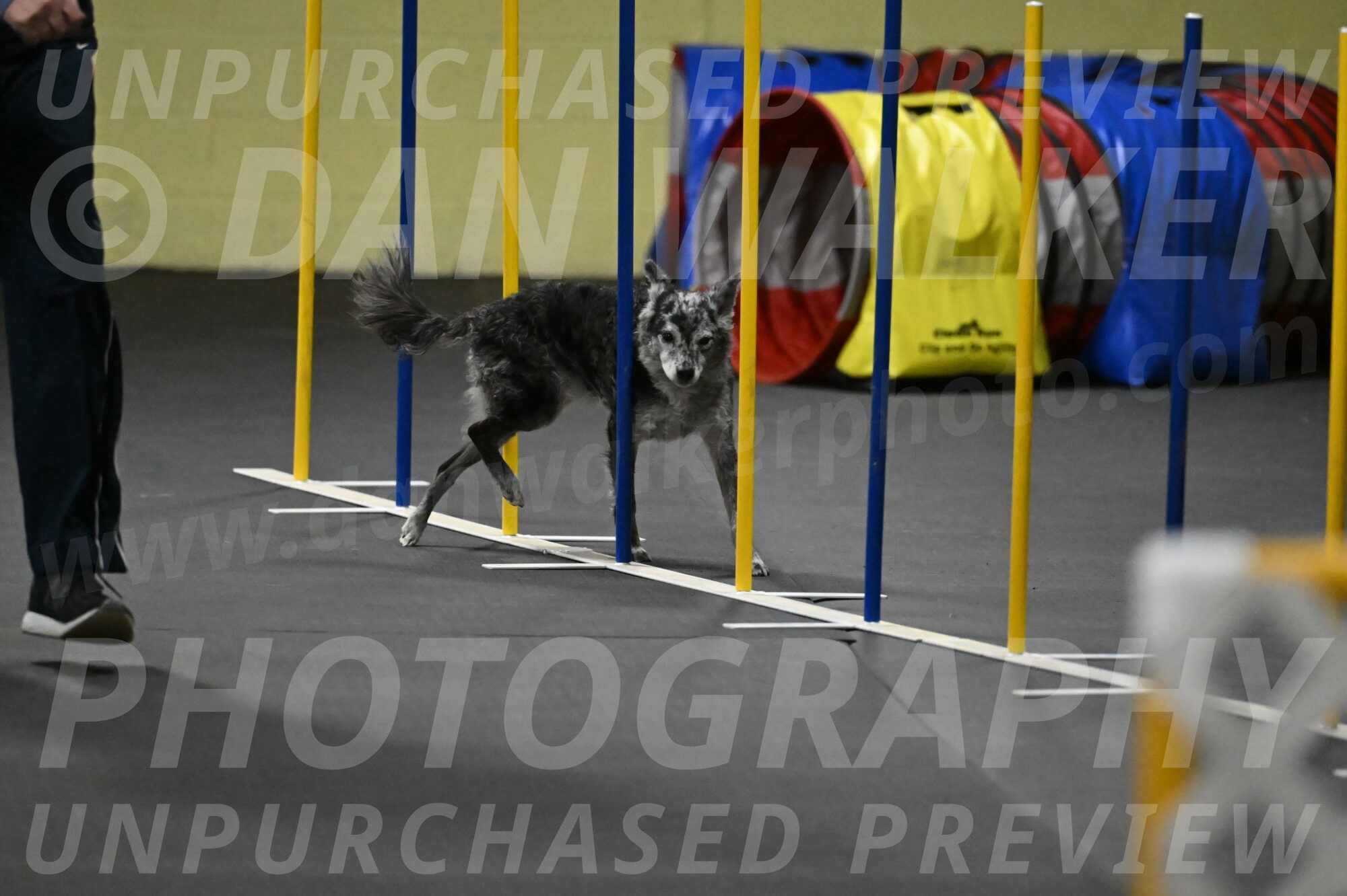 Bruce-Belebczuk-02351