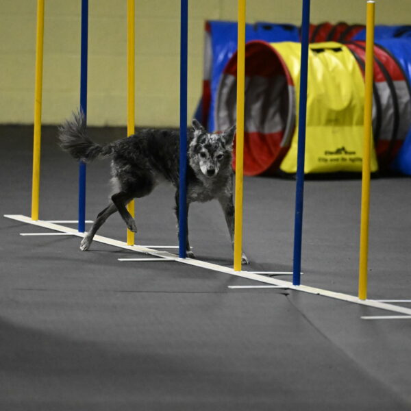 Bruce-Belebczuk-02351