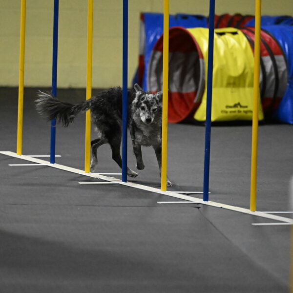 Bruce-Belebczuk-02352