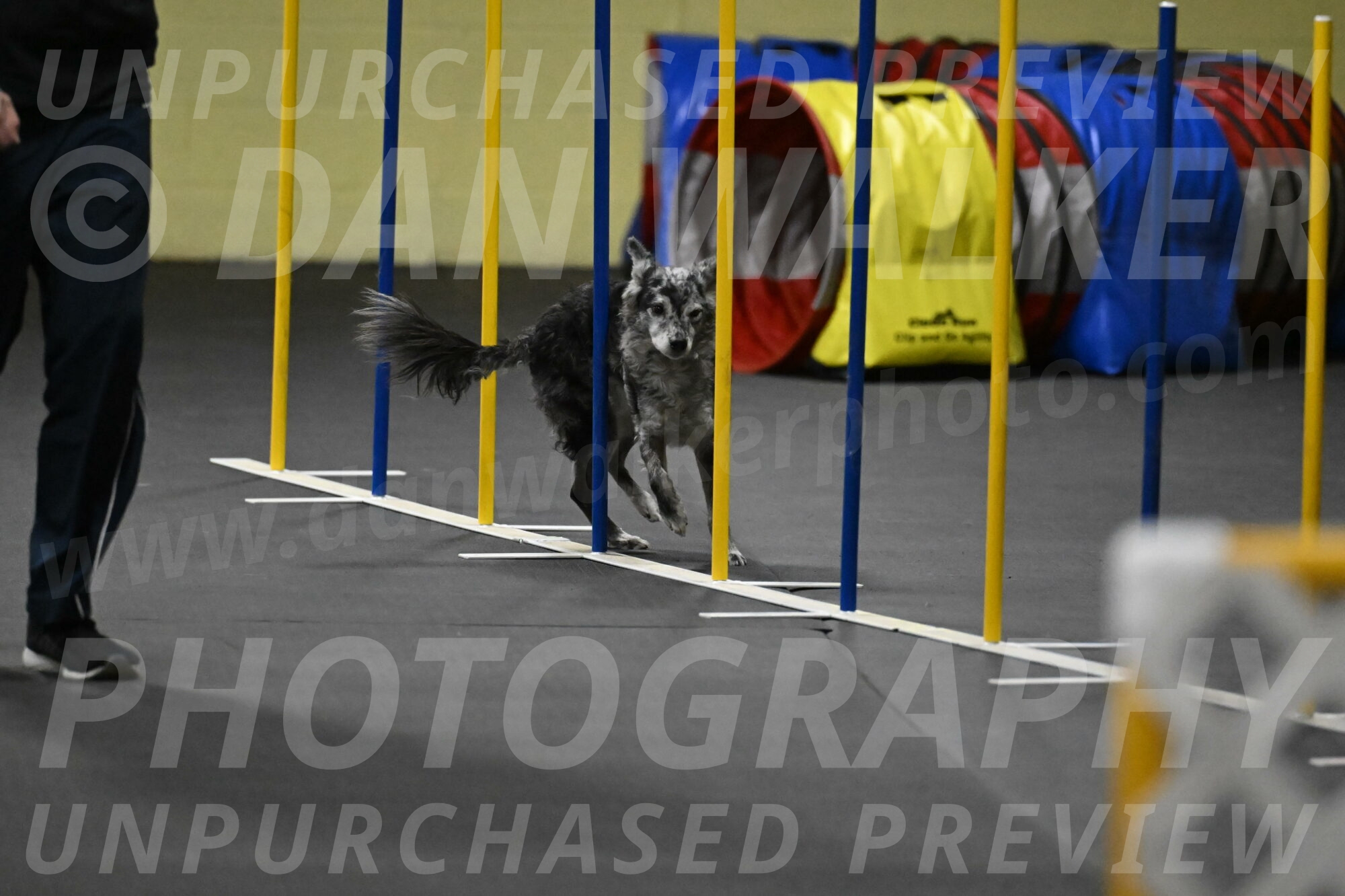 Bruce-Belebczuk-02353