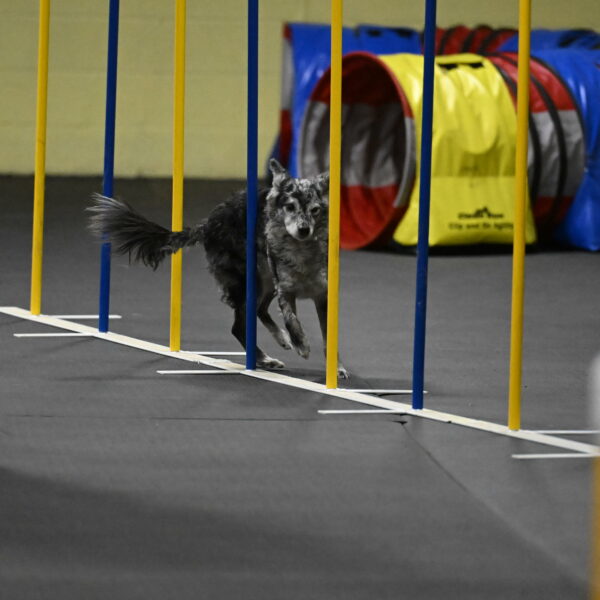 Bruce-Belebczuk-02353