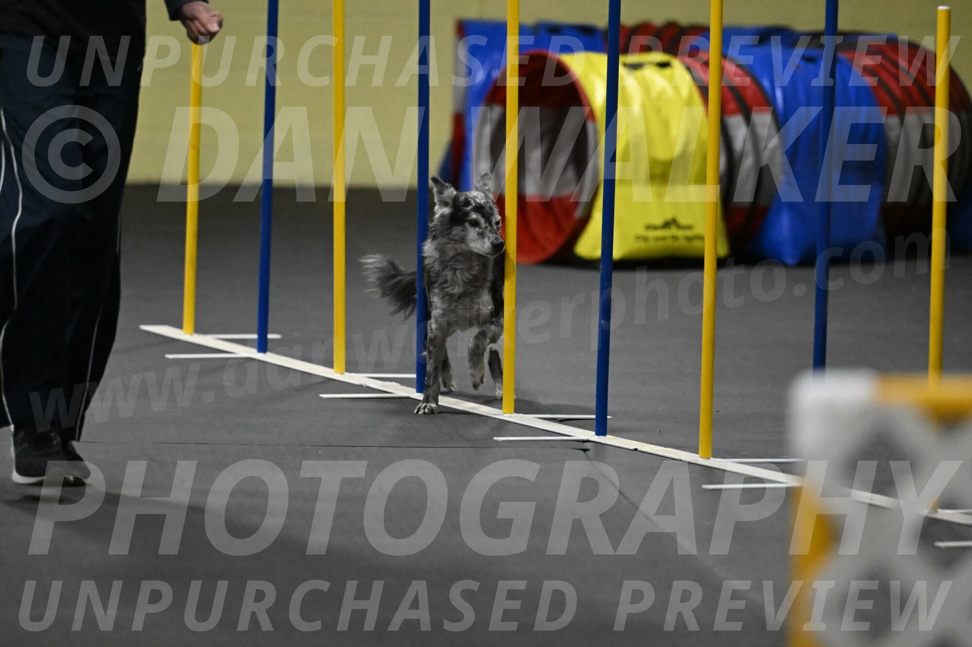 Bruce-Belebczuk-02355