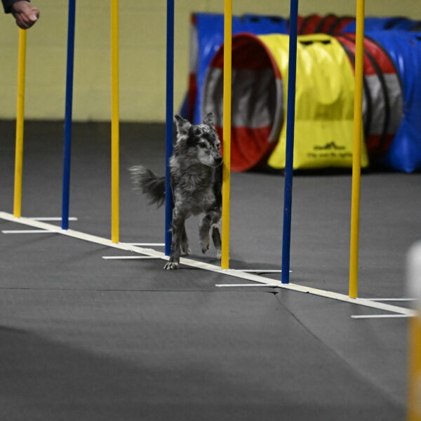 Bruce-Belebczuk-02355