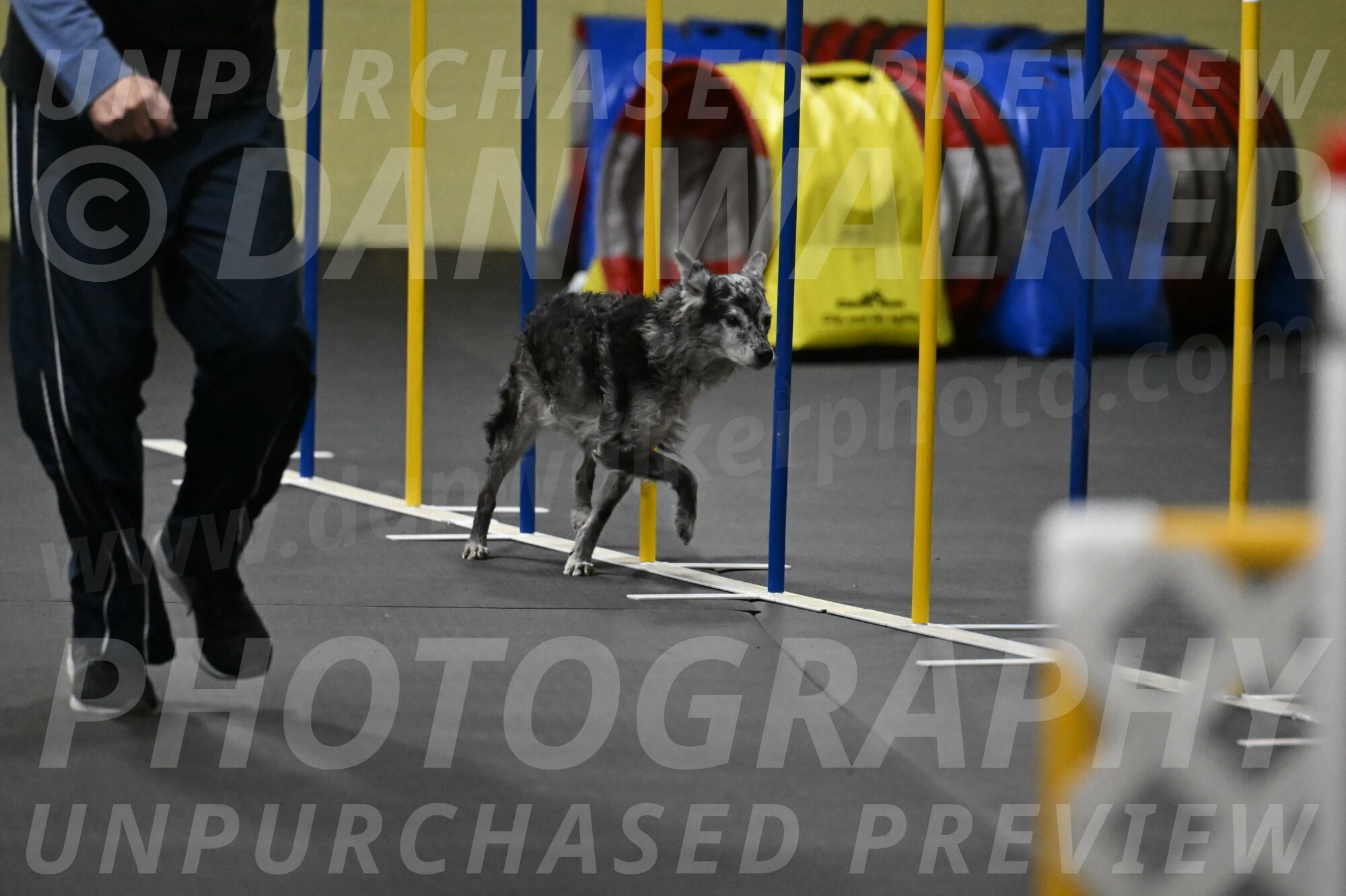 Bruce-Belebczuk-02358