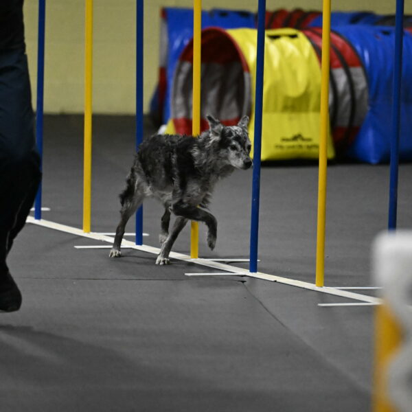 Bruce-Belebczuk-02358