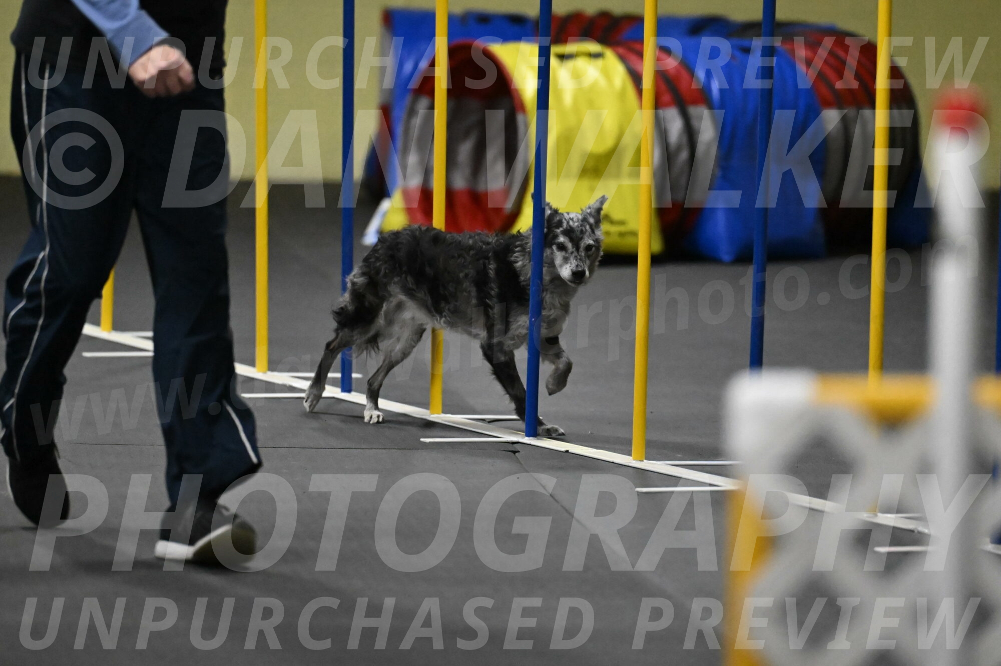 Bruce-Belebczuk-02360